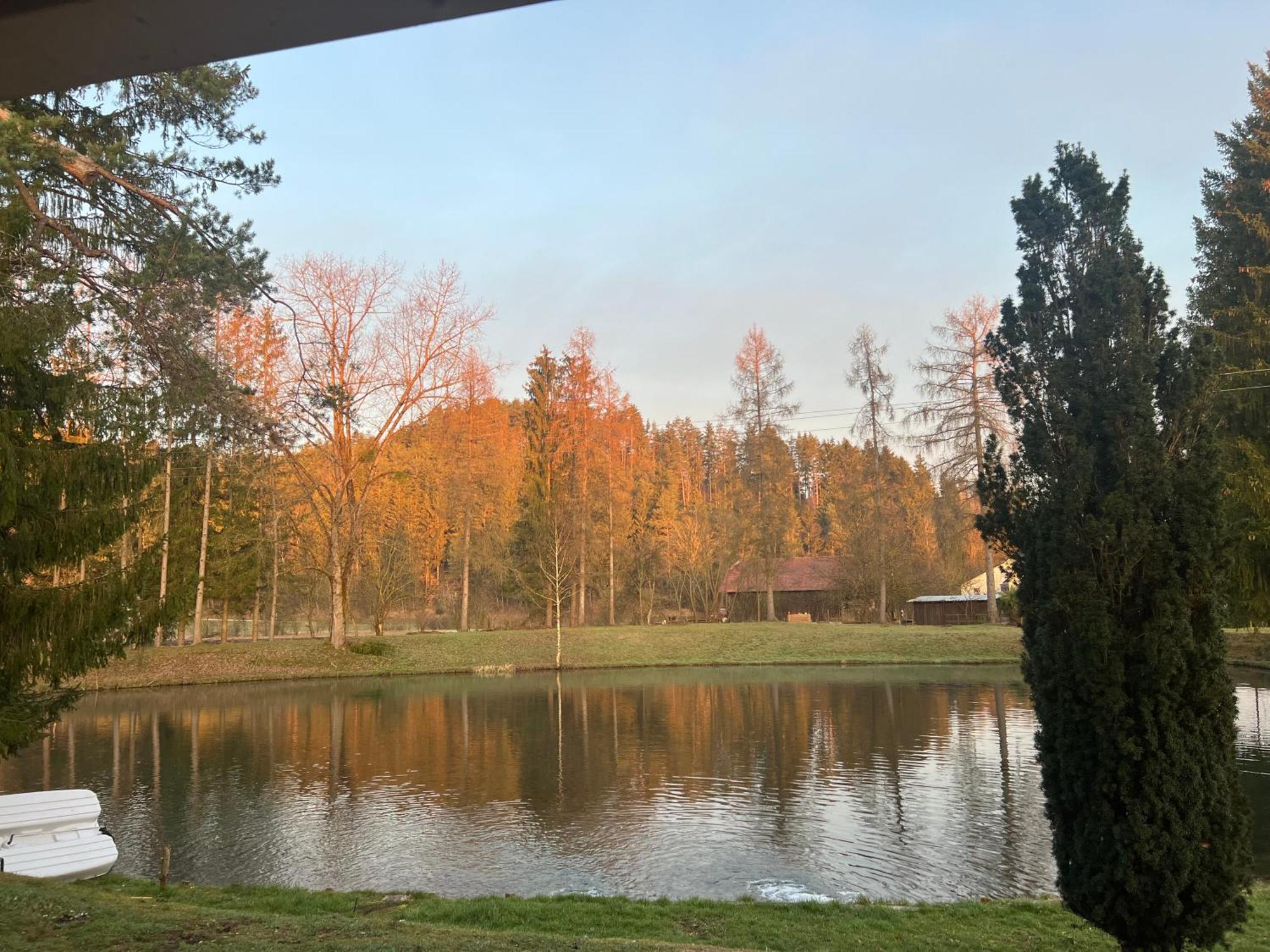 Haus Am Fischteich Apartamento Feistritz ob Bleiburg Exterior foto