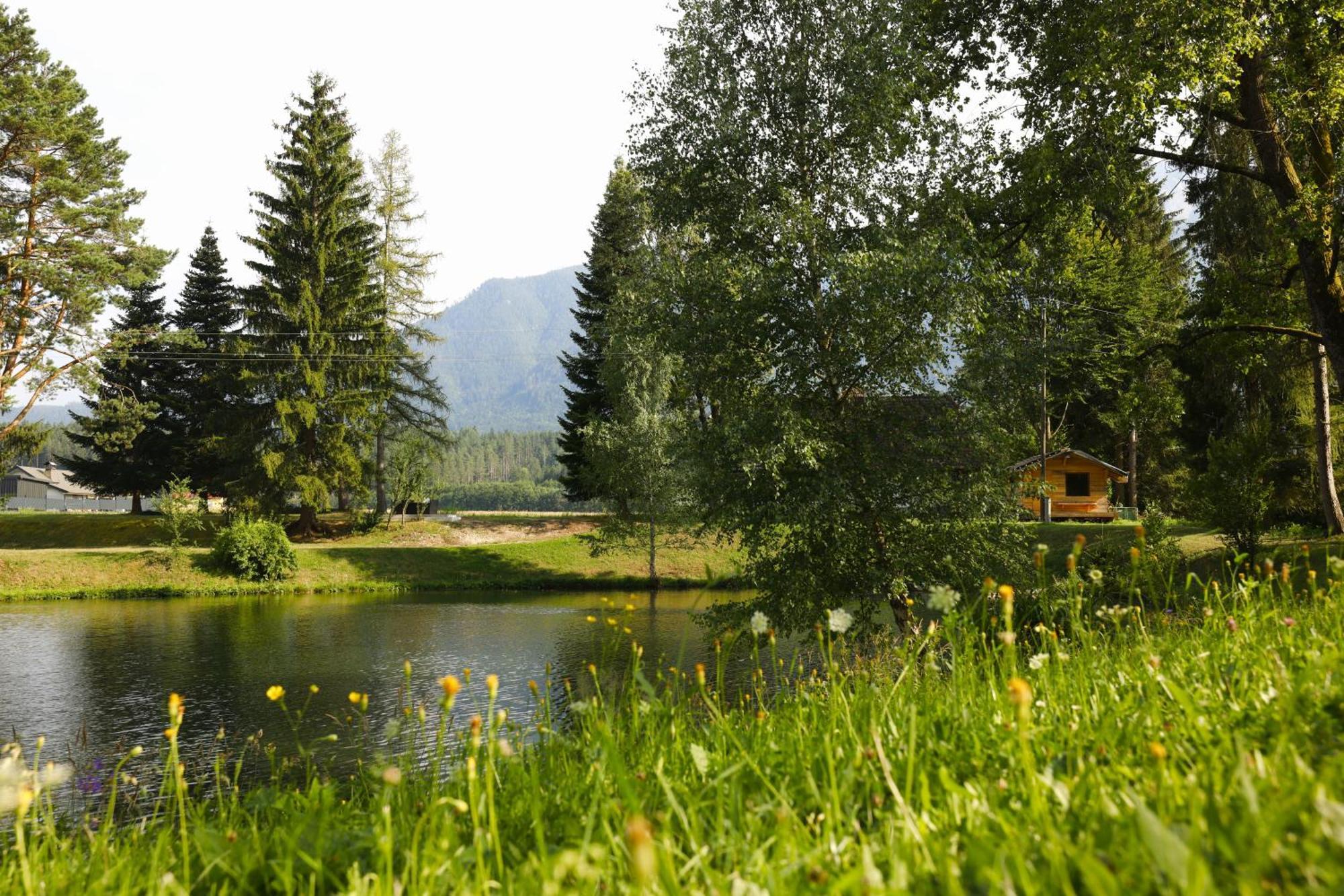 Haus Am Fischteich Apartamento Feistritz ob Bleiburg Exterior foto