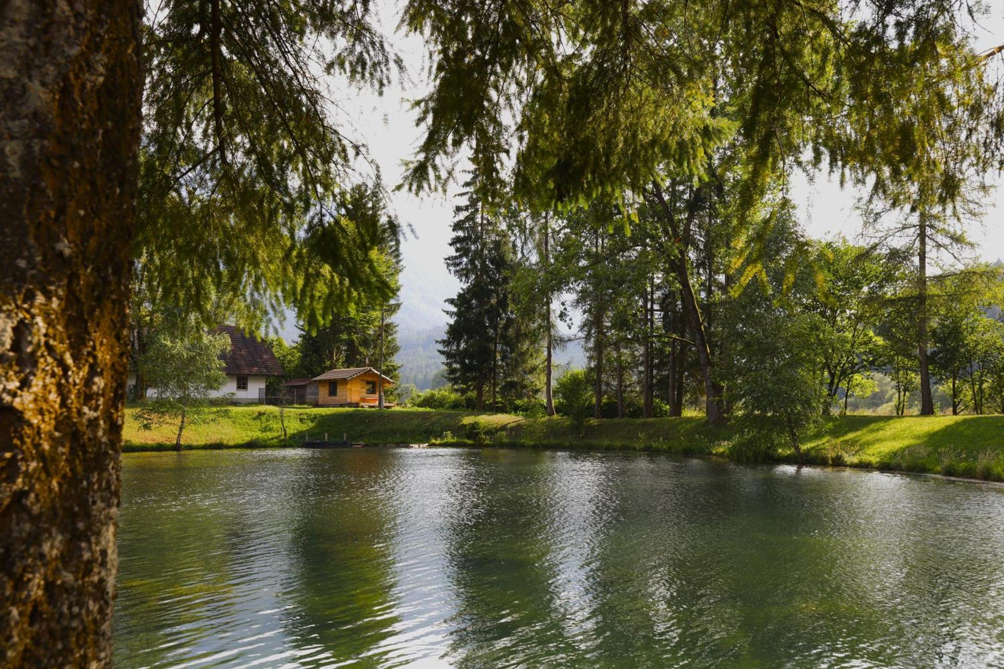 Haus Am Fischteich Apartamento Feistritz ob Bleiburg Exterior foto