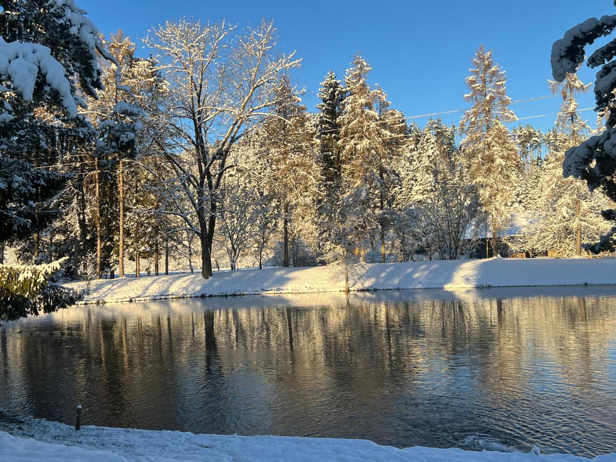 Haus Am Fischteich Apartamento Feistritz ob Bleiburg Exterior foto